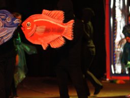 DSC04045